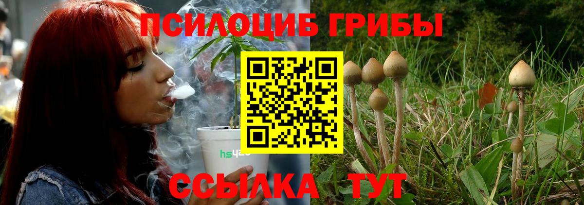 продажа наркотиков  Псилоцибиновые грибы мицелий  Вход с VPN  Азов  Галлюциногенные грибы Cubensis 