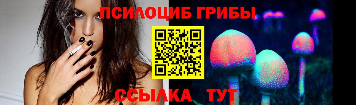 Галлюциногенные грибы Psilocybe Азов